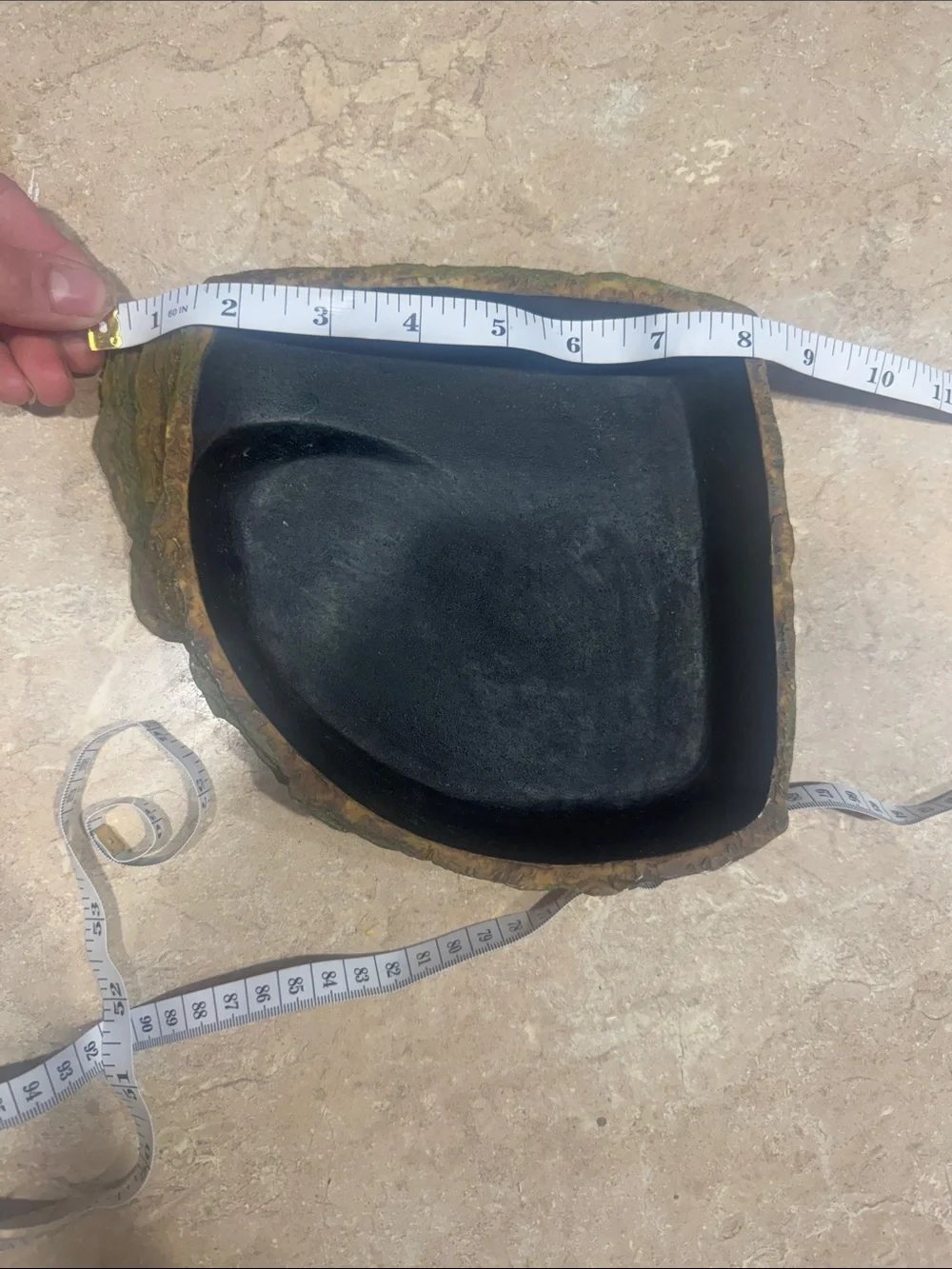 Reptile Dish